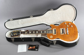 2010 Gibson Les Paul AFD Appetite For De