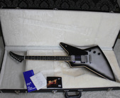 2011 Gibson Thunder Horse Explorer