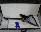 2011 Gibson Thunder Horse Explorer 2