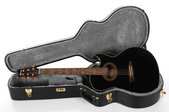2011 Ibanez Euphoria Steve Vai Acou 0010