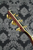 Enlarge photo 16