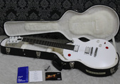 2012 Gibson Les Paul Buckethead Studio 3