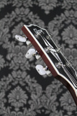 Enlarge photo 15