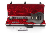 2013 EVH USA Wolfgang Silver 3124A