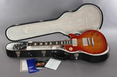 2013 Gibson Les Paul Standard Premium Bi