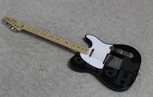 Fender Heineken Telecaster