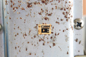 Enlarge photo 15