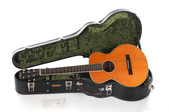 Santa Cruz Firefly 127