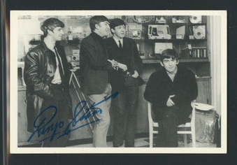 Enlarge photo 30