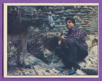 Enlarge photo 195