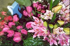 Enlarge photo 7
