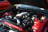 Enlarge photo 11
