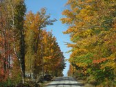 Enlarge photo 23