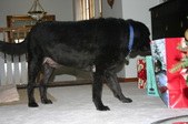 Enlarge photo 21