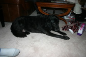 Enlarge photo 6