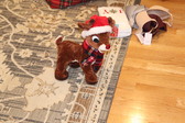Enlarge photo 18