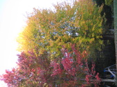 Fall 08