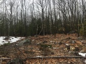 Enlarge photo 18