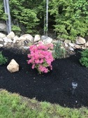 Enlarge photo 20