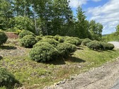 Enlarge photo 2