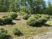 Enlarge photo 3
