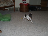 Enlarge photo 2