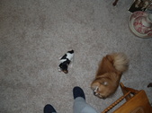 Enlarge photo 3