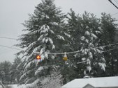 Enlarge photo 20