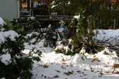 Enlarge photo 13