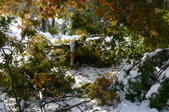 Enlarge photo 14