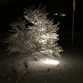 Enlarge photo 3
