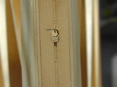 Enlarge photo 177