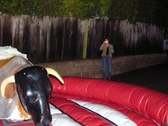 Enlarge photo 33