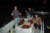 anacapa lobsters