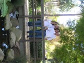 Enlarge photo 40