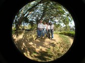 Enlarge photo 47
