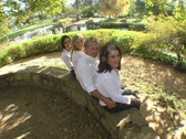 Enlarge photo 57