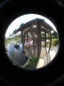 Enlarge photo 114