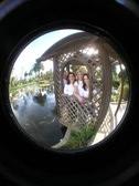 Enlarge photo 173