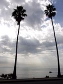Enlarge photo 29