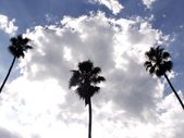 Enlarge photo 31
