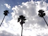 Enlarge photo 32