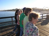 Enlarge photo 118