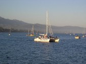 Enlarge photo 257