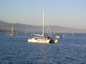 Enlarge photo 258