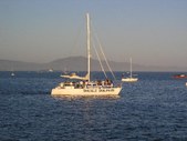 Enlarge photo 261