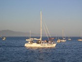 Enlarge photo 262