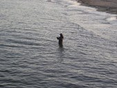 Enlarge photo 275