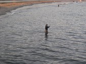 Enlarge photo 277