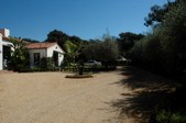 Enlarge photo 73